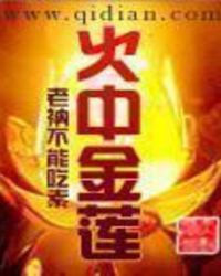 火中金莲全集TXT下载