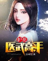护花医仙小说
